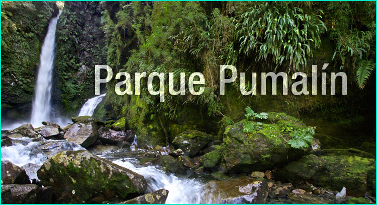 Parque Nacional Pumalin